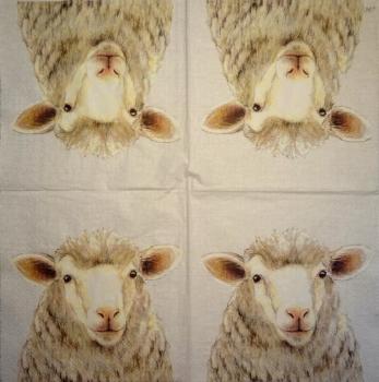 011 Sheep - 3-ply (11)